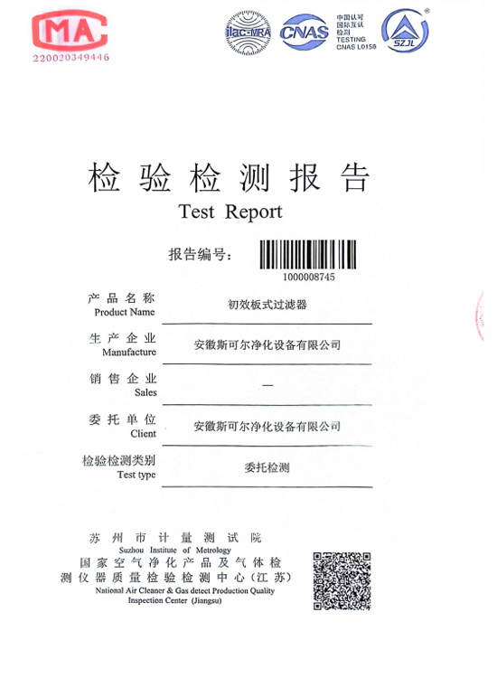 初效检测报告
